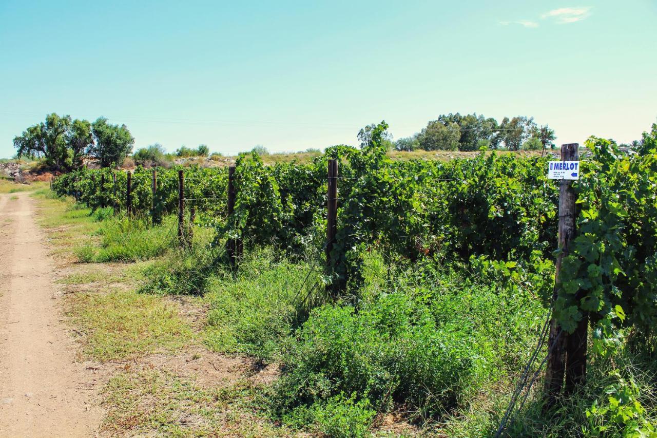 Вилла Bezalel Wine & Brandy Estate Kanoneiland Экстерьер фото