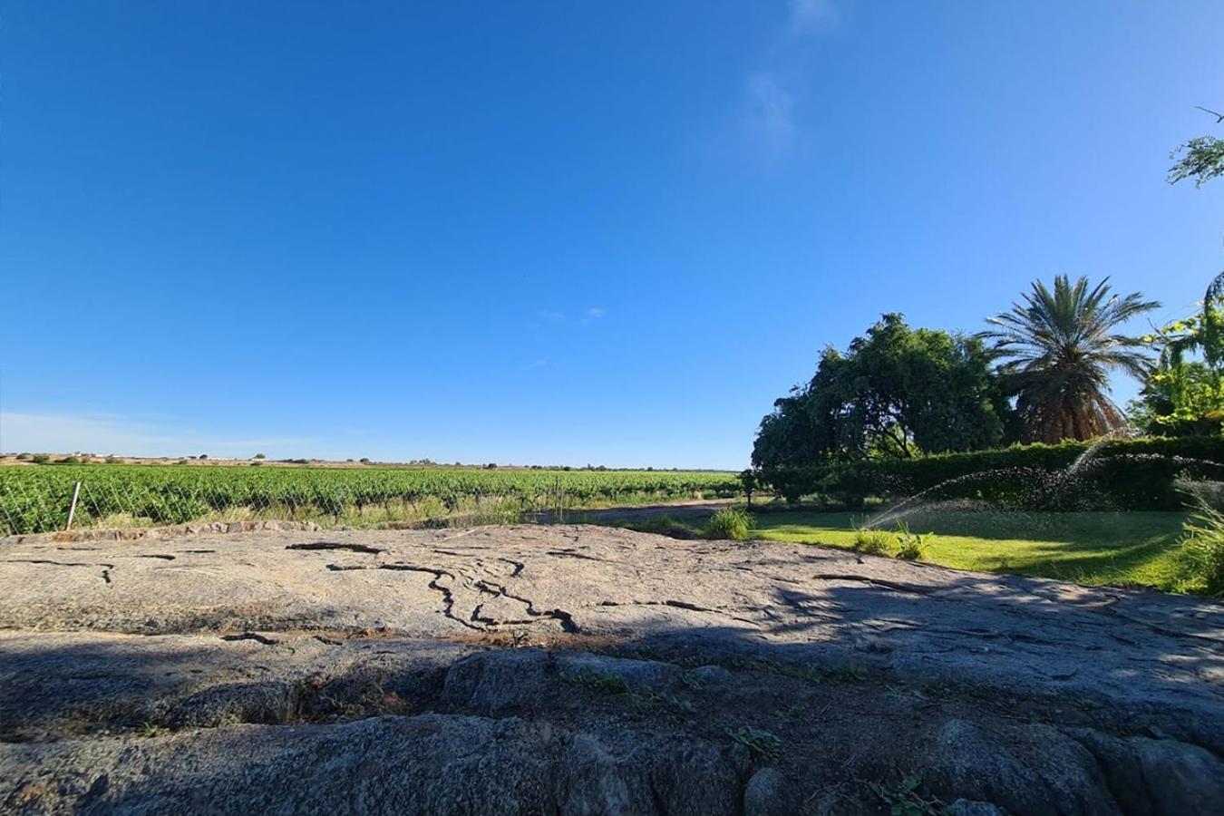 Вилла Bezalel Wine & Brandy Estate Kanoneiland Экстерьер фото